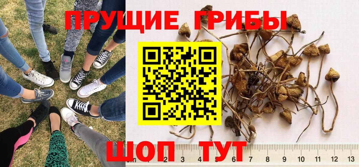 Миасс  где купить   Вход с VPN  Псилоцибиновые грибы ЛСД 