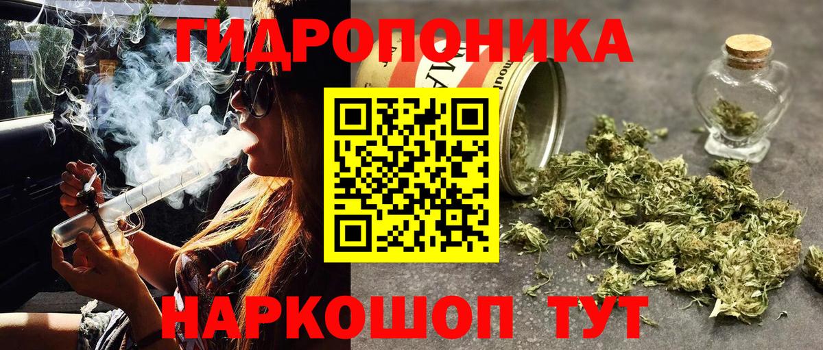 Бошки Шишки White Widow  Каннабис THC 21%  Миасс  Каннабис индика  Вход с VPN 